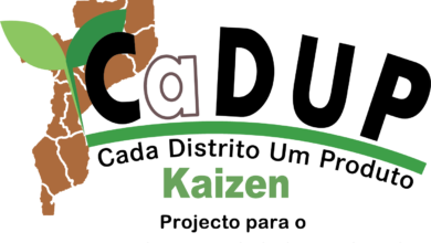Programa CaDUP-ProAssiste apoia 15 PMEs com financiamento de 120 mil meticais