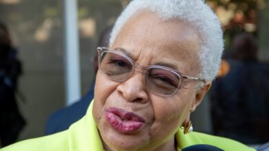 Graça Machel defende renovação da SADC para combater a xenofobia na África do Sul