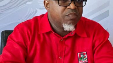 Comité Central da Frelimo defende melhorias nas infra-estruturas municipais na província de Maputo
