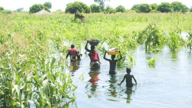 Moçambique integra programa regional de resposta ao deslocamento climático na África Austral