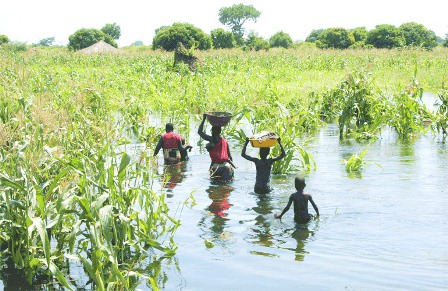 Moçambique integra programa regional de resposta ao deslocamento climático na África Austral