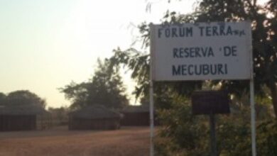 Reserva Florestal de Mecubúri será ajustada para responder à ocupação das comunidades