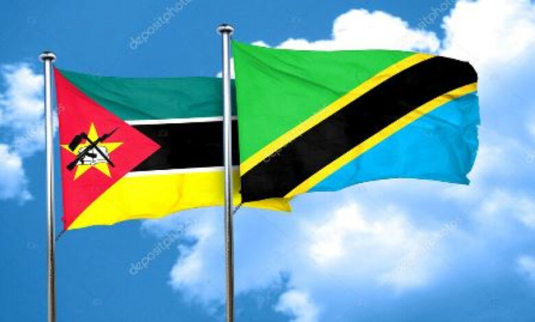 Moçambique e Tanzânia reforçam cooperação no combate ao crime transnacional