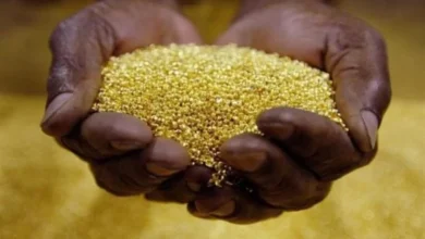 Manica regista queda na produção de ouro devido à suspensão da actividade mineira
