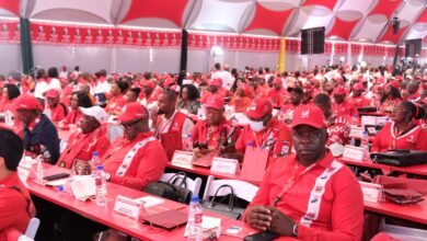 XI CONFERÊNCIA NACIONAL DE QUADROS: Definidas estratégias para melhorar desempenho da Frelimo e do país