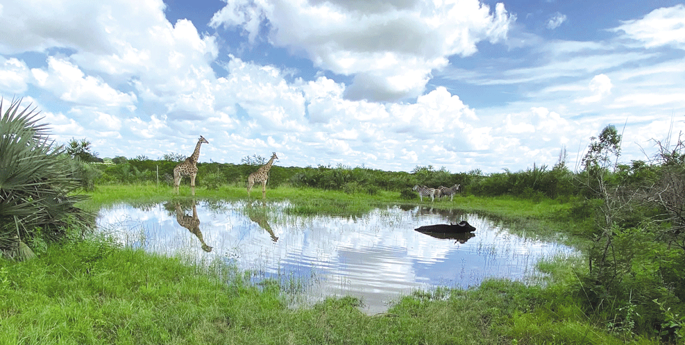 PROTECÇÃO DA BIODIVERSIDADE: Comunidade de Chimanimani desafiada a aumentar produção