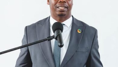 Destacadas potencialidades da província de Maputo