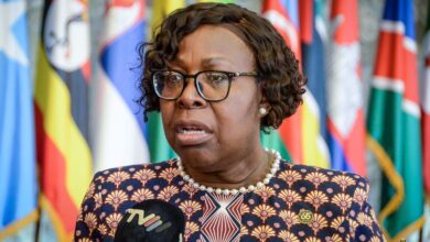 Moçambique e Sérvia identificam áreas estratégicas para cooperação
