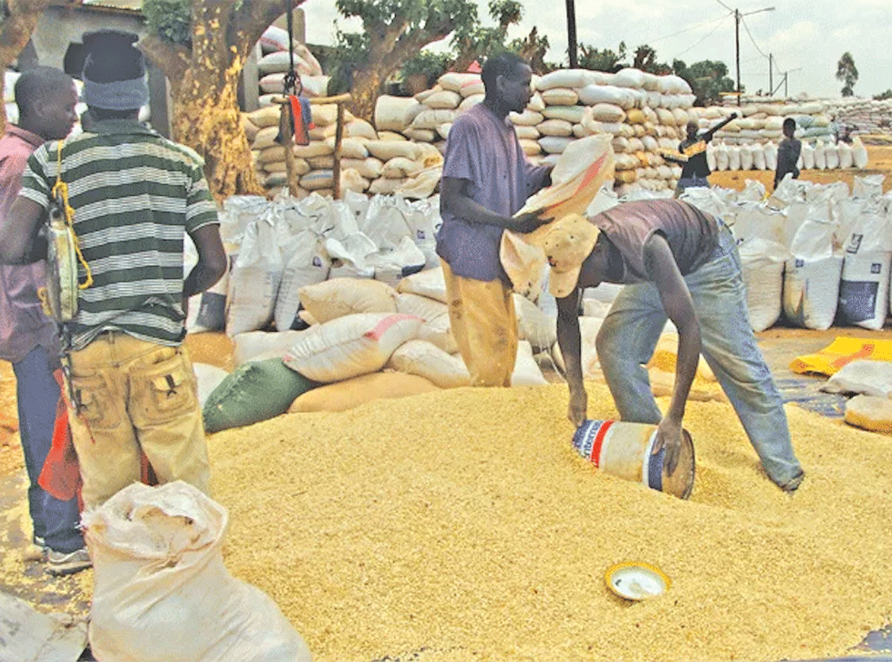Reforçadas bases para o desenvolvimento socioeconómico do Vale do Zambeze