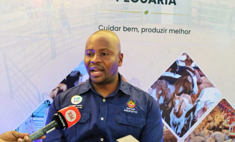 Maputo reforça aposta na produção de tilápia