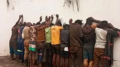 3 moçambicanos detidos em Mpumalanga por imigração ilegal