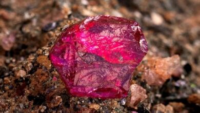 Produção de rubis aumenta 61% no primeiro semestre
