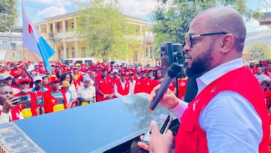 Guiliche agradece organização e ordem na XI Reunião de Quadros da Frelimo