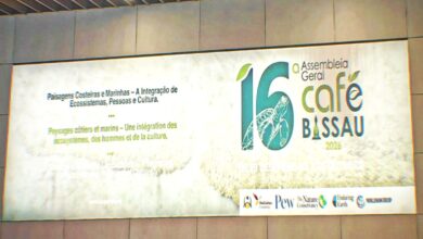 Moçambique no consórcio africano de fundos do Ambiente