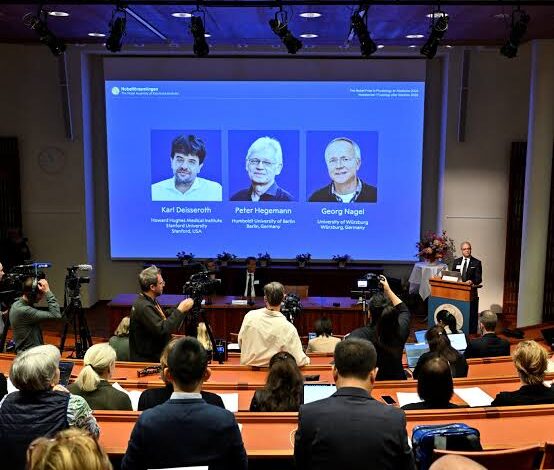 Nobel da Medicina repartido por três cientistas