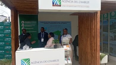 Mais províncias com intenção de realizar conferências de investimentos