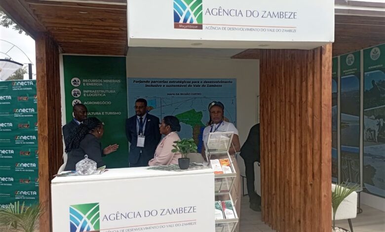 Mais províncias com intenção de realizar conferências de investimentos