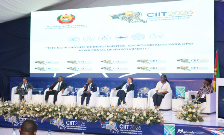 EDM quer antecipar procura