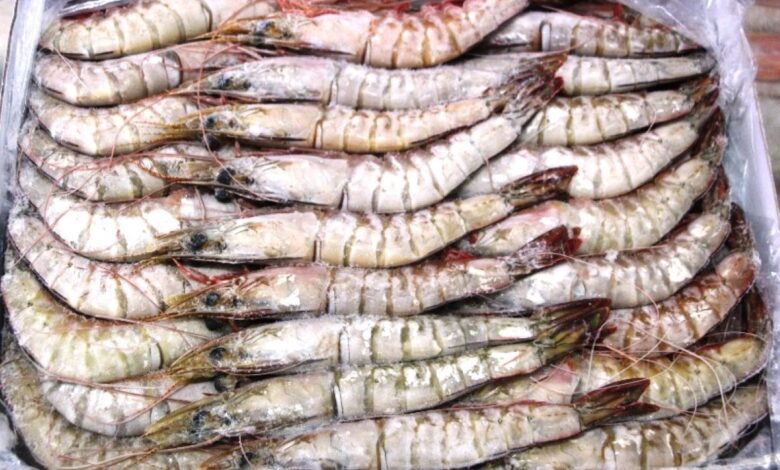 Pesca ilegal e destruição de mangais ameaçam camarão em Sofala