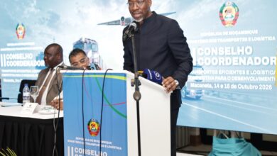 Matlombe exige recuperação da sustentabilidade da LAM