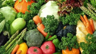 Inovação agrícola pode combater a fome