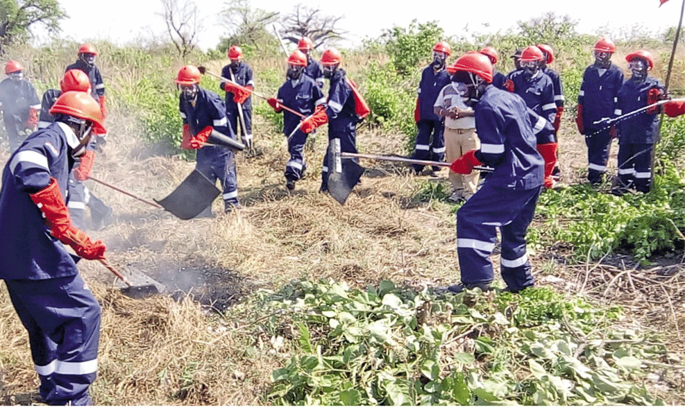 EM MANICA: Queimadas afectam 35 mil hectares de floresta