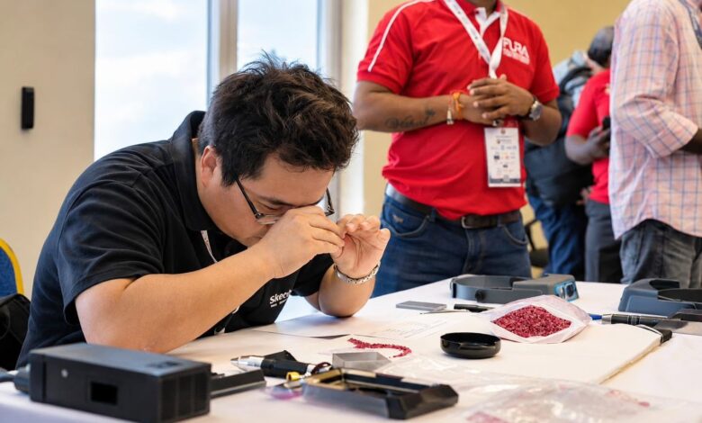 Rubis de Montepuez leiloados pela primeira vez no país